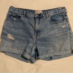 Everlane The Denim Short Organic Cotton 31 Blue Hi Rise Distressed Jean Shorts